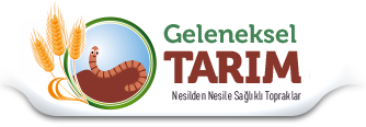 https://www.gelenekselpazar.com