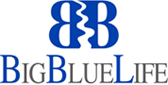 Big Blue Life